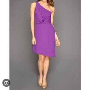 BCBG MAXAZRIA Somara One-Shouldered Asymmetrical Chiffon Purple Dress Sz 6
